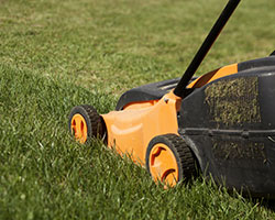 Lawn Care in Stephenson County