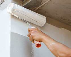 Painters in Mchenry County
