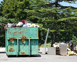 Junk Removal in Will County