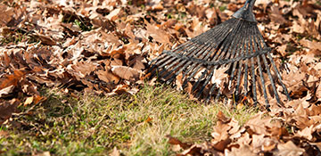 Wood County Leaf Removal