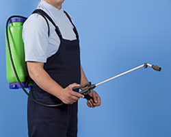 Pest Control in Humboldt County